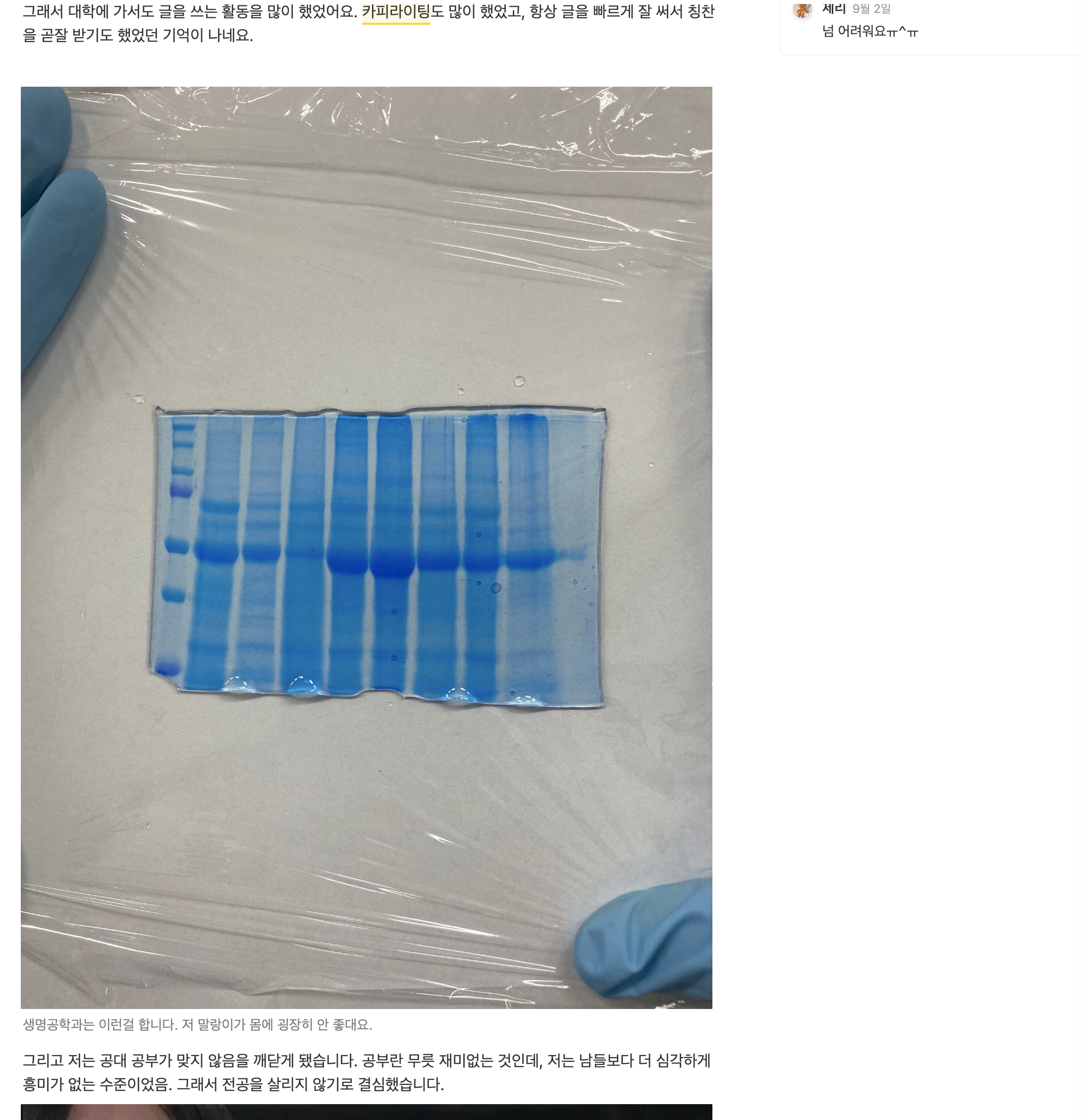 놀러오세요, 디플러의 숲으로! 디플러들이 전하는 나의 이야기